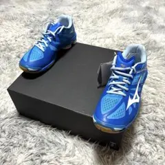 2026年最新】バレーボールシューズ メンズ レディース ミズノ mizuno