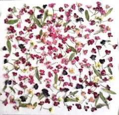 Item thumbnail for item 3cbc51de-d463-4418-8b94-8effccc3b1d0