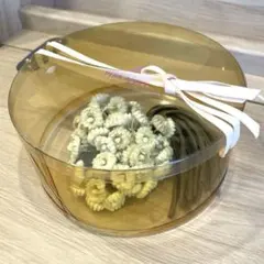 パプコーンフラワーマンダラブランケット（ブルーグリーン系カラー） パプコーンフラワーマンダラブランケット（ブルーグリーン系カラー