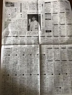 宮崎香蓮　新聞広告