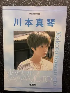 川本真琴　歌詞集　写真集 2026年最新】川本真琴写真集の人気アイテム - メルカリ