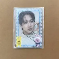 Stray Kids スキズ サウナ フォトカードスリーブセット チャンビン