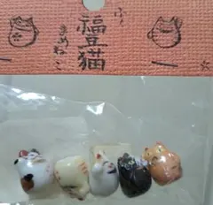 福豆猫
