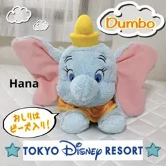 レア⁉︎ ディズニーリゾート限定 ダンボ ゾウ ビーズ入り ぬいぐるみ