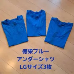 花咲徳栄高校　硬式野球部　Under Armour 野球用アンダーシャツ LG