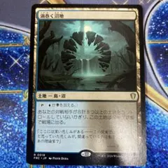 渦巻く沼地 日本語版 MTG