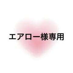 エアロー様専用