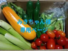 みきちゃん様専用ページ