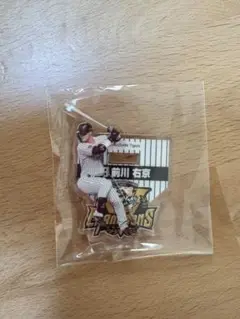 阪神タイガース 前川右京 アクスタ