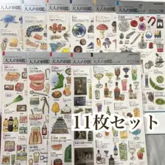 大人の図鑑シール【新品未開封】11セット