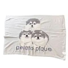 ジェラートピケ　雪原アニマル　エアモコハーフケット　アラスカンマラミュート　犬