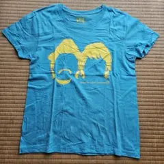 ⭐️タイムセール⭐️非売品　スキマスイッチTシャツ 2025年最新】スキマスイッチ グッズ tシャツの人気アイテム