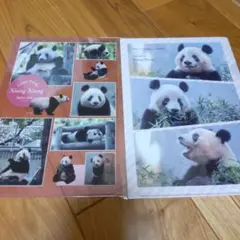 ®️様 リクエスト 2点 まとめ商品