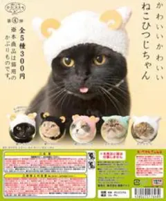 ガチャガチャ ねこのかぶりもの ねこひつじちゃん