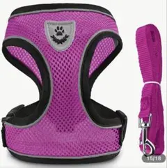 Item thumbnail for item 36653b21-8b84-43f8-bc51-ecfbeebd1302