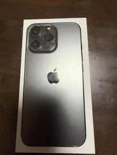 Apple iPhone 13 Pro グラファイト