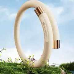 Item thumbnail for item 2b581aa5-29c3-4329-b8da-1031ff1fc47a