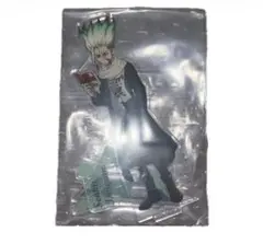 Dr.STONE　石神 千空アクリルスタンド 冬の待ち合わせ編ver.