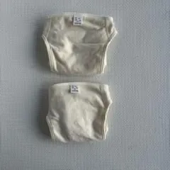 Item thumbnail for item 481f6fa2-59f3-4bc8-9935-4d21cd44e92d