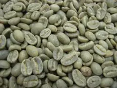 コーヒー生豆5kg×3種類 未開封