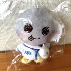 2025年最新】ソンヨンドリの人気アイテム - メルカリ