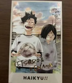 ハイキュー メモリアルコレクション 第2弾 春コレ 黒尾 孤爪研磨 箔押し