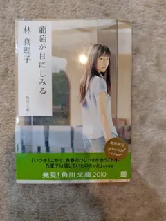 葡萄が目にしみる 林真理子 文庫本 - メルカリ