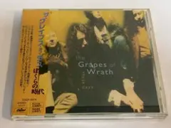 ザ・グレイプス・オブ・ラス/ぼくらの時代