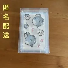 PUKUCHURU seal ② ちいかわ　ハチワレ　ぷくちゅるシール