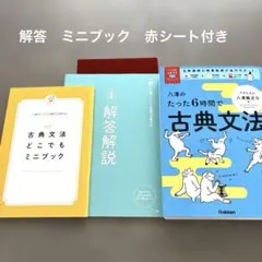 八澤のたった6時間で古典文法