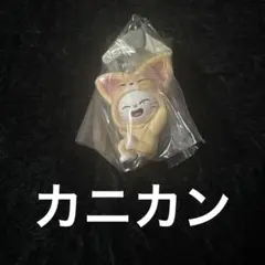 ♋️ ジニレット　ヒョンジン　Straykids スキズ　SKZOO