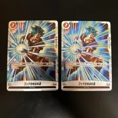 ドラゴンボール フュージョンワールド ゴッドかめはめ波 パラレル 2枚