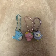 たまごっち　チョコボックス　ふらわっち　ほーほっち　いるかっち