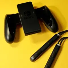 【Switch】純正Joy-Conグリップ＆ストラップ