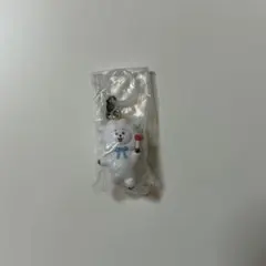 BT21 めじるしアクセサリー エンジェルver. RJ