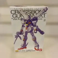 【メルカリ】MG 1/100 機動戦士クロスボーンガンダム X1 Ver.ka