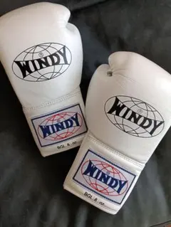 2026年最新】windy グローブ 8オンスの人気アイテム - メルカリ