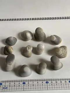 変わった形の石ころNO185 12個