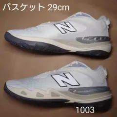 バスケット 29cm ニューバランス FuelCell HESI LOWのサムネイル