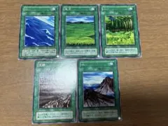 【世界2枚　ARS10+】荒野 レア 初期 字レア 2025年最新】遊戯王カード初期荒野の人気アイテム - メルカリ