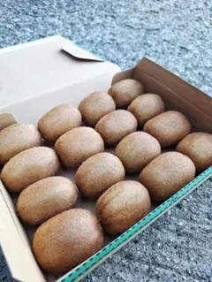 キウイフルーツ(無農薬栽培)