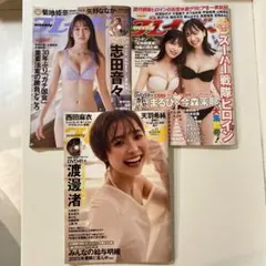 Item thumbnail for item 7965ba65-a2cd-4e3d-9e3e-75517f2c943d