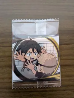 にふぉるめーしょんシール ハイキュー!! 月島蛍+山口忠