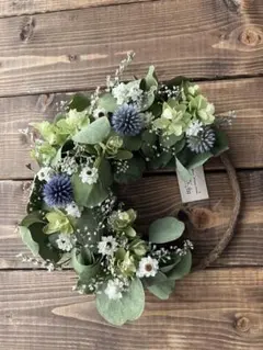 Item thumbnail for item 6d1f40c1-df3e-4c40-b552-6caeca5b4395