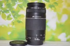 ☆新品級☆一眼用 超迫力望遠レンズ キヤノン EF90-300mm Canon - メルカリ