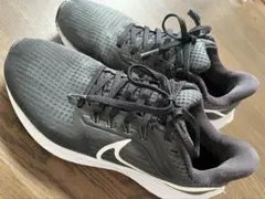 NIKE　AIR zoom ペガサス　24cm