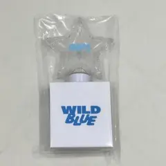 29日まで即日発送可能。 WILDBLUE ザファーストライト ペンライト 29日まで即日発送可能。 WILDBLUE ザファーストライト ペン