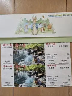 ナガシマスパーランド 湯あみの島 特別入場券 2枚 有効期限2026/8/31 