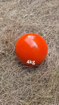 Item thumbnail for item cea599c1-4d0a-4b4d-ac0b-f7a77517322c