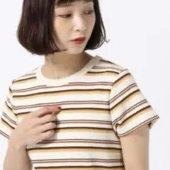 ストライプ 半袖Tシャツ